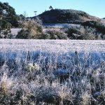 Quinta terá geada em muitas cidades do Sul do Brasil – Veja mapa