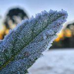 Mais de 40% dos dias de abril tiveram mínimas negativas até agora em SC