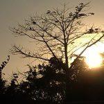 Veja a previsão do tempo para esta quinta-feira