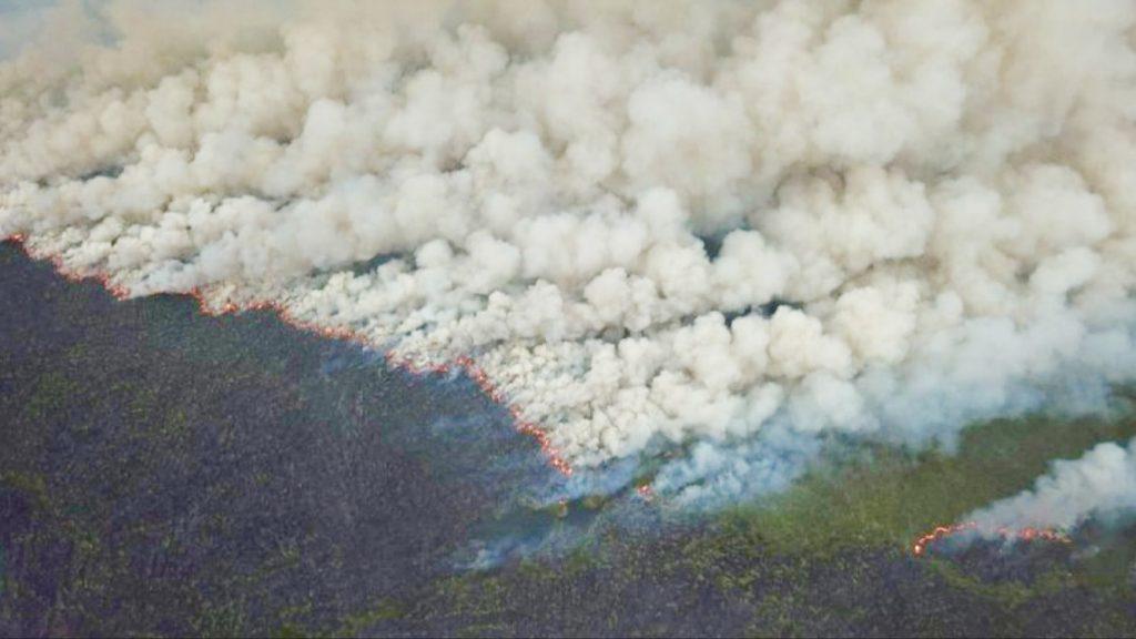 Seca provoca incêndio que já dura 20 dias na Grande Porto Alegre