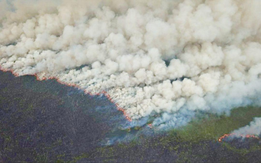 Seca provoca incêndio que já dura 20 dias na Grande Porto Alegre