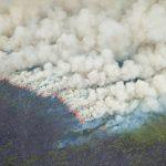 Seca provoca incêndio que já dura 20 dias na Grande Porto Alegre