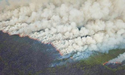 Seca provoca incêndio que já dura 20 dias na Grande Porto Alegre