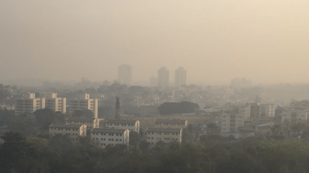 Pantanal teve crescimento absurdo de queimadas em março