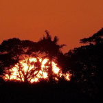 Sábado de forte calor para fim de abril no Estado