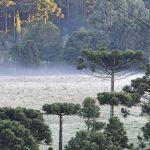Santa Catarina registra -3,9°C, geada forte e as primeiras mínimas negativas do ano