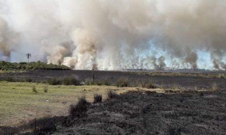 Março teve recorde de queimadas no Rio Grande do Sul
