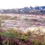 Veja as mínimas de hoje no Rio Grande do Sul