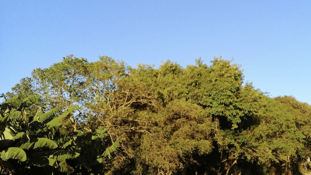 Lista das menores mínimas hoje no Rio Grande do Sul