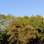 Lista das menores mínimas hoje no Rio Grande do Sul