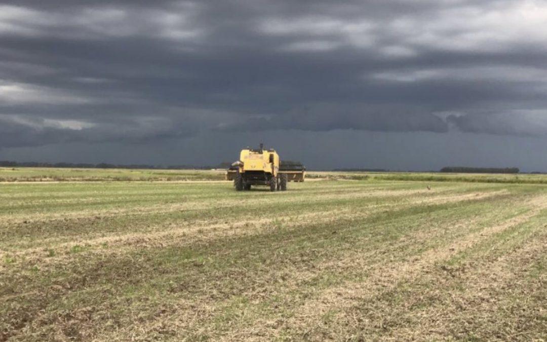 Chuva retorna ao Sul do Brasil neste começo de semana