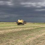 Chuva retorna ao Sul do Brasil neste começo de semana