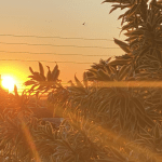 Confira o tempo neste sábado