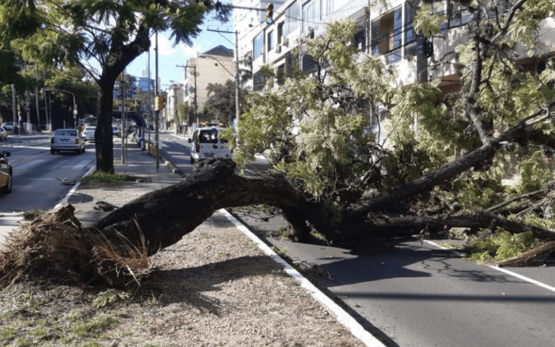 Vento provocou transtornos em Porto Alegre