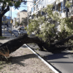 Vento provocou transtornos em Porto Alegre