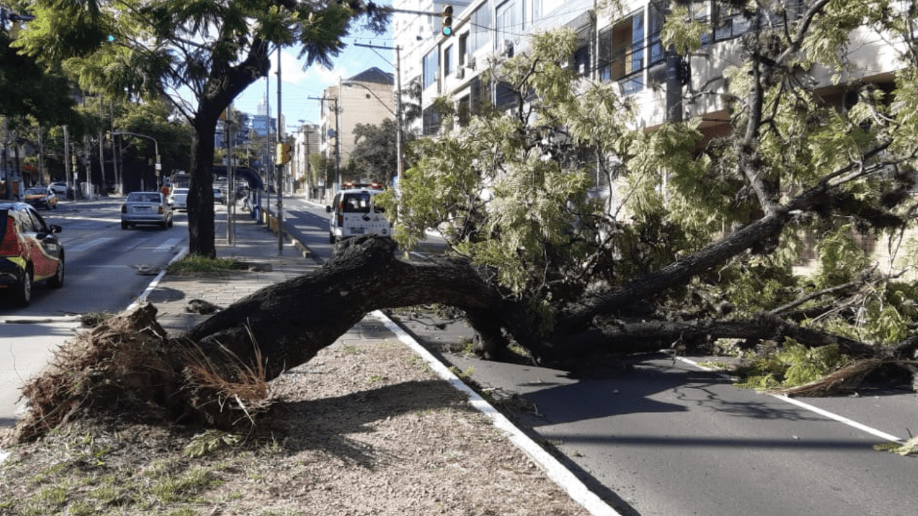 Vento provocou transtornos em Porto Alegre
