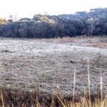 Rio Grande do Sul tem quarto dia do ano com mínimas negativas