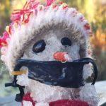 Sexta-feira amanheceu com quase 6°C negativos em Santa Catarina