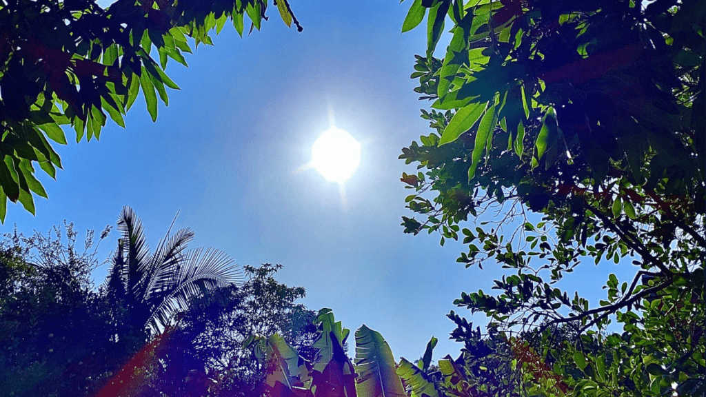 Rio Grande do Sul tem amanhecer mais frio até agora no ano