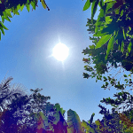 Rio Grande do Sul tem amanhecer mais frio até agora no ano