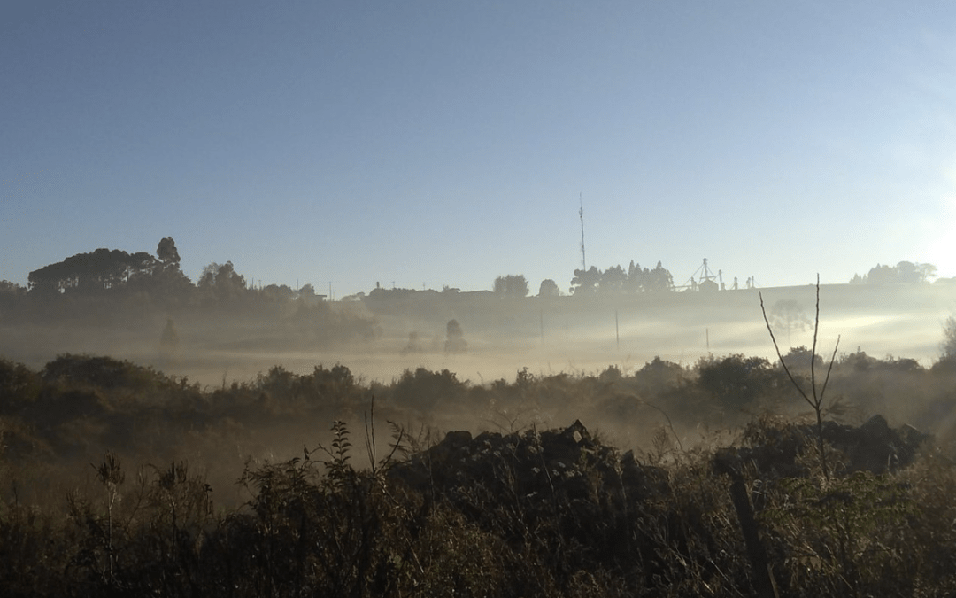 Rio Grande do Sul já tem 10 dias no ano de mínimas negativas