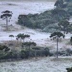 Primeiro grande episódio de geada do ano – Veja mapas