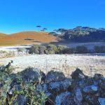 Sábado em Santa Catarina começou com 6°C abaixo de zero