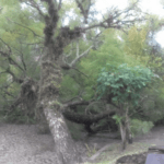 Porto Alegre teve quase a média de chuva do mês de maio