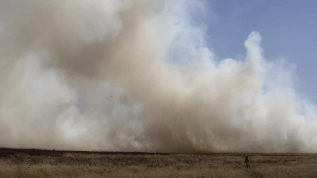 Números de incêndios explodem no Sul e batem recordes