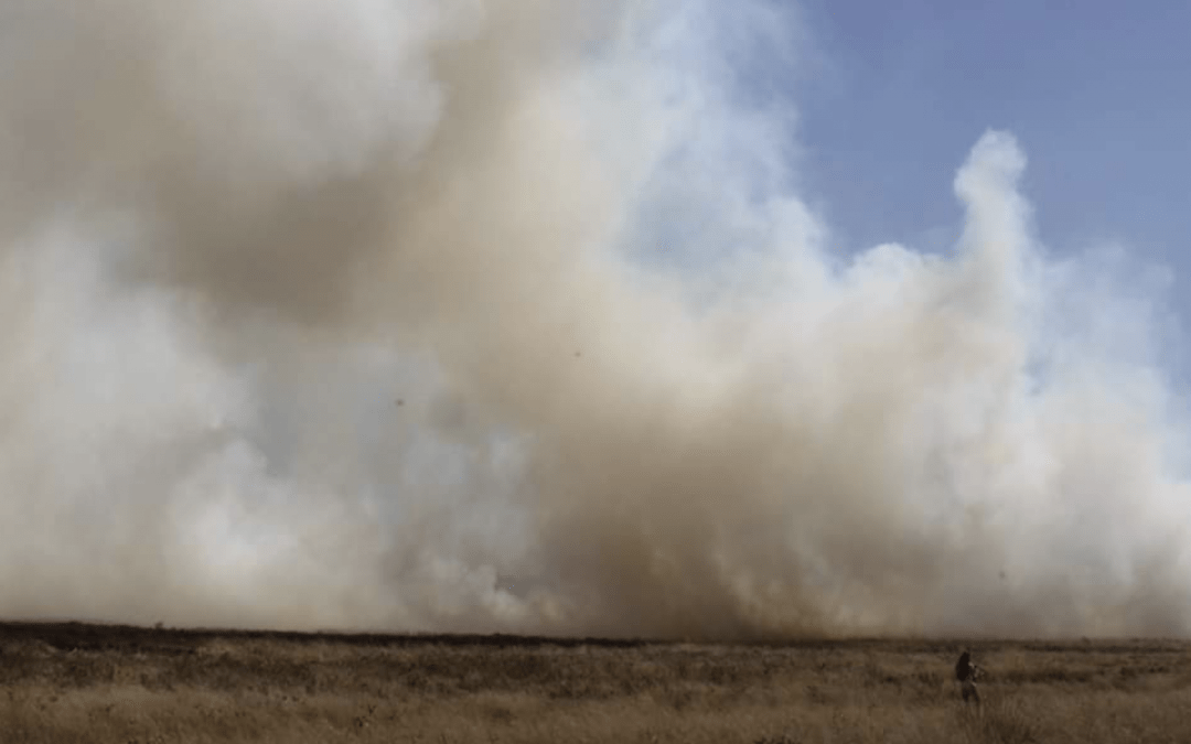 Números de incêndios explodem no Sul e batem recordes