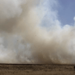 Números de incêndios explodem no Sul e batem recordes