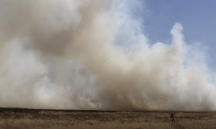 Números de incêndios explodem no Sul e batem recordes