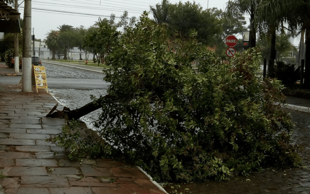 Vento forte do ciclone traz transtornos no Estado