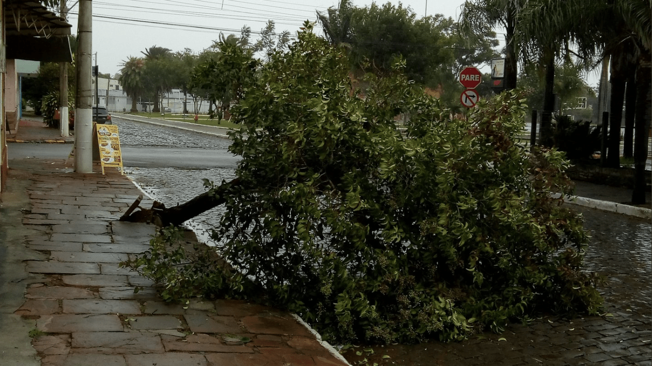 Vento forte do ciclone traz transtornos no Estado