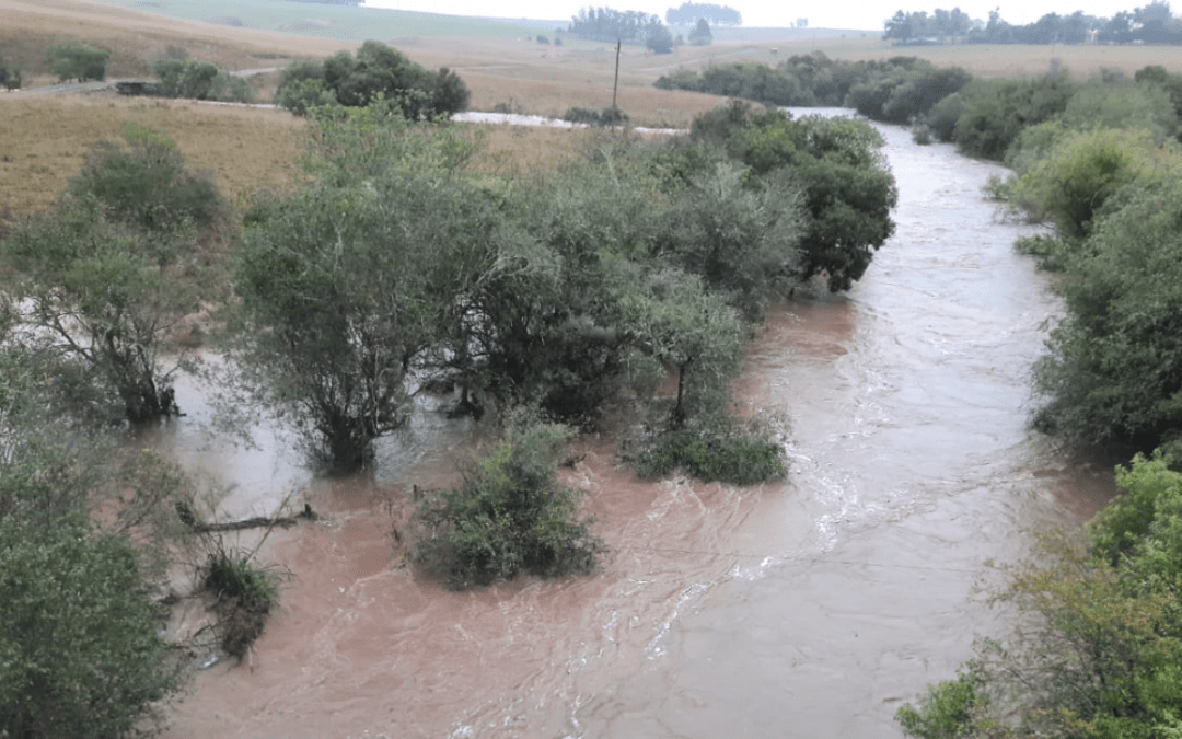 Maior chuva em meses em algumas regiões trouxe até 150 mm