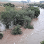 Maior chuva em meses em algumas regiões trouxe até 150 mm