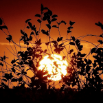 Confira a previsão do tempo para este domingo