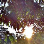 Confira a previsão do tempo para este domingo