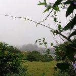 Chuva de um mês em um dia no Noroeste do Rio Grande do Sul