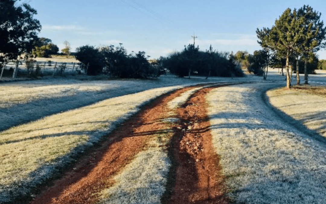 Sexta-feira começou com frio abaixo de zero no Uruguai