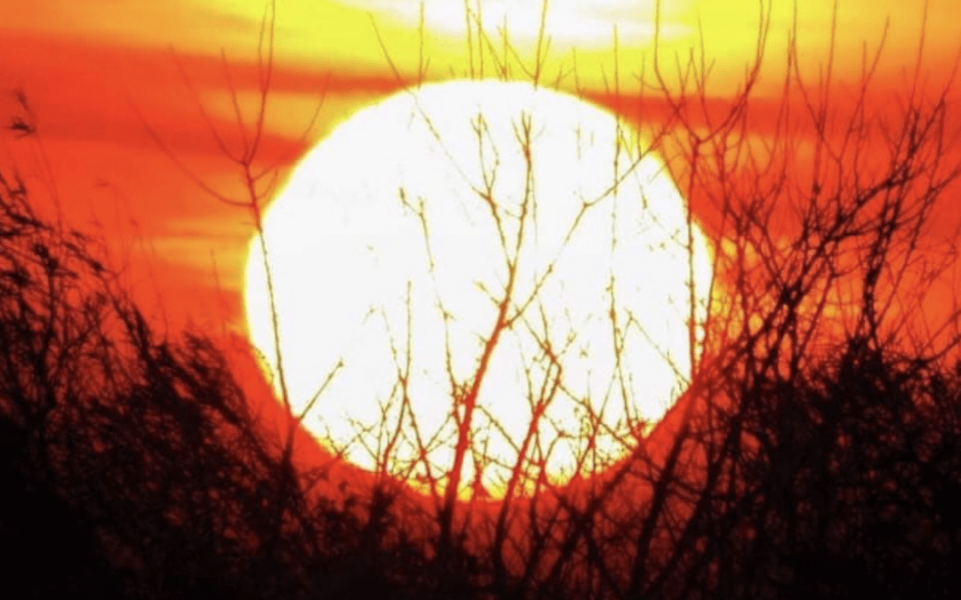 Começo de inverno quente é bom diante da epidemia?