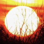 Começo de inverno quente é bom diante da epidemia?