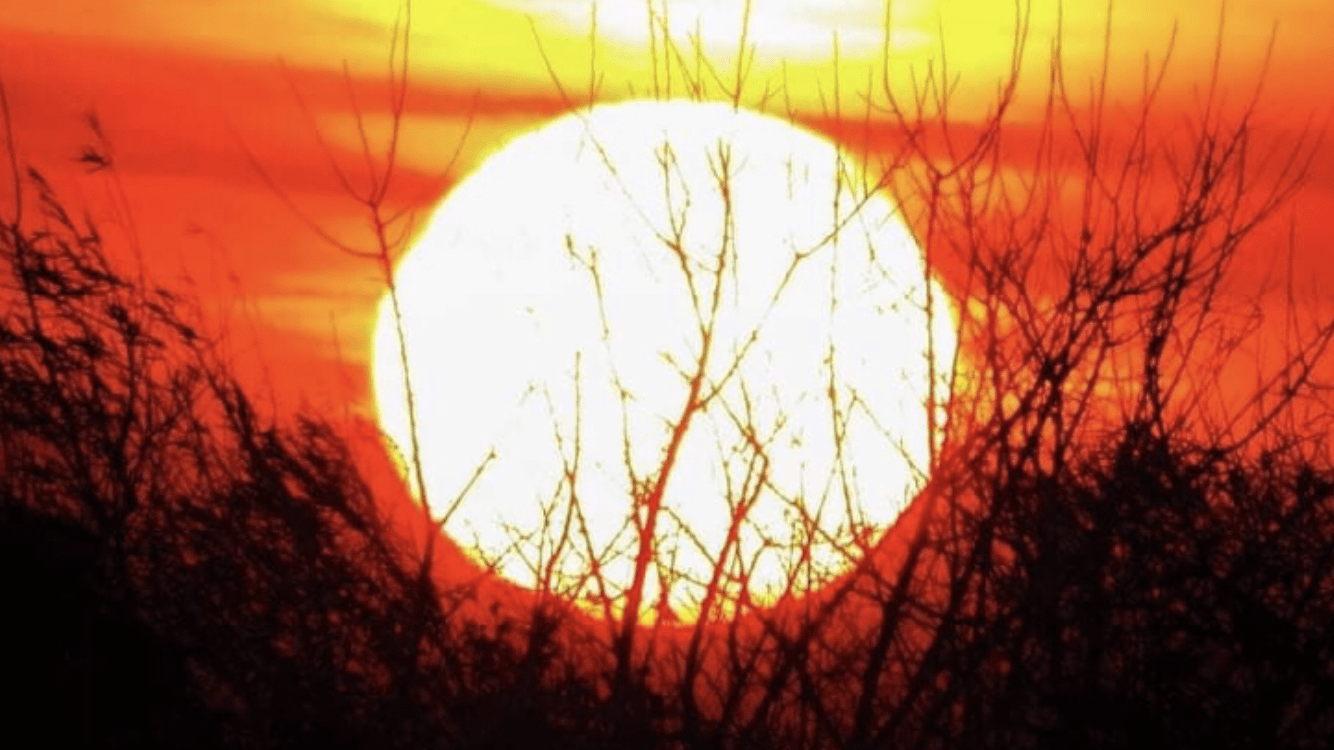 Começo de inverno quente é bom diante da epidemia?