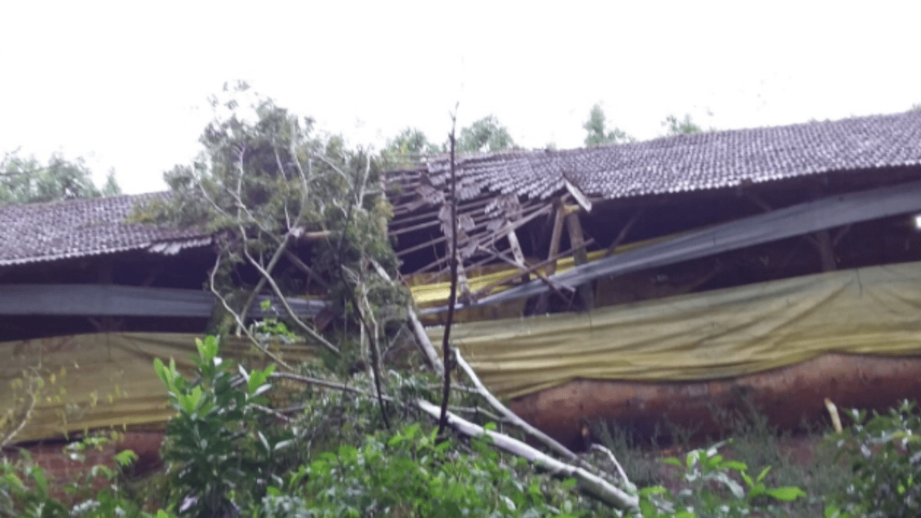 Temporal provoca estragos no Noroeste gaúcho