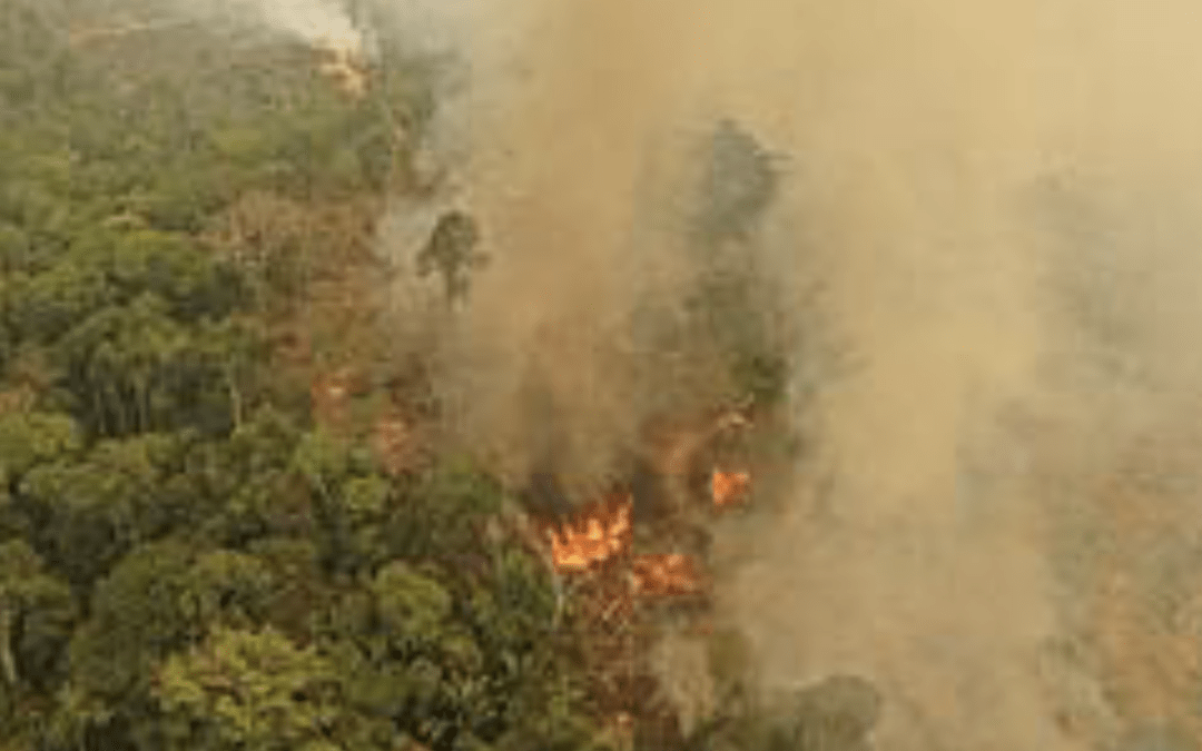 Queimadas na Amazônia podem agravar epidemia na região