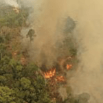 Queimadas na Amazônia podem agravar epidemia na região
