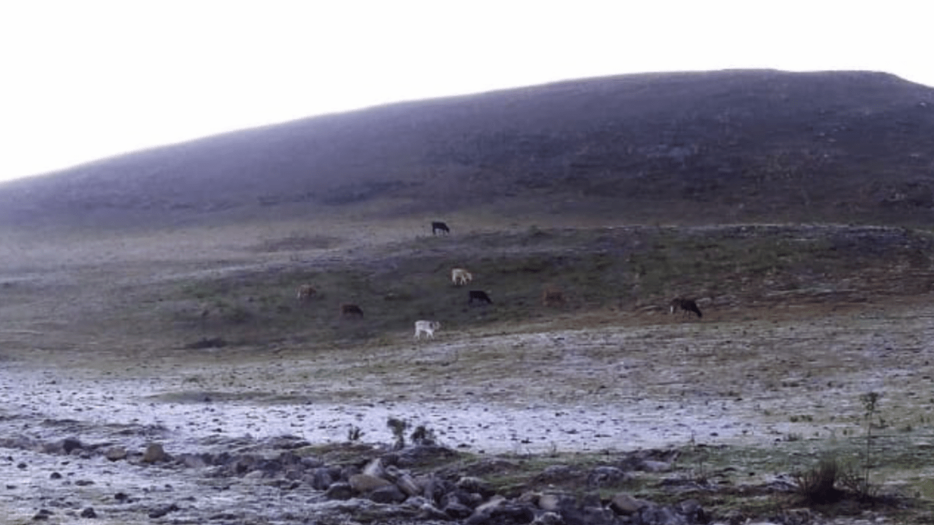 Rio Grande do Sul tem mais um dia de marcas negativas