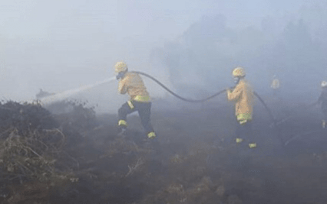 Maio teve recorde de queimadas no Rio Grande do Sul