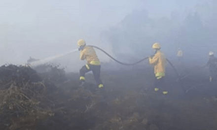 Maio teve recorde de queimadas no Rio Grande do Sul