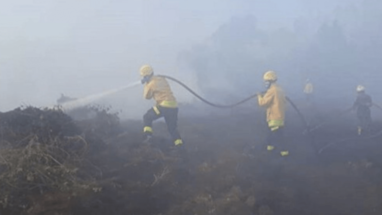 Maio teve recorde de queimadas no Rio Grande do Sul